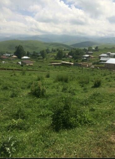 lokbatan torpaq: 195 sot, Mülkiyyətçi, Kupça (Çıxarış)