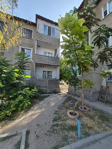 Продажа квартир: 3 комнаты, 70 м², Индивидуалка, 1 этаж, Косметический ремонт — 4