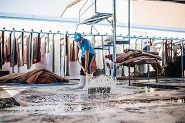 Стирка ковров: Стирка ковров, | Палас, Ала-кийиз, Шырдак, Бесплатная доставка — 3