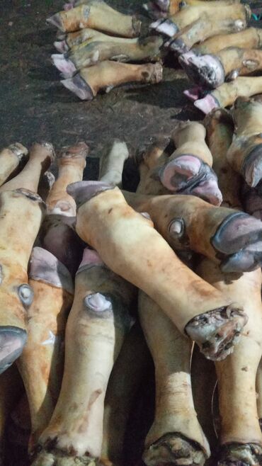 мраморная мясо: Говядина : Ножки, 1 кг, 2 кг, Самовывоз, Платная доставка
