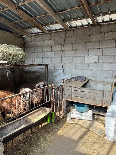 добрыня дача: 81 м², 3 комнаты, Утепленный, Парковка, Лоджия — 5
