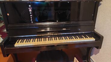Pianolar: Pianolar