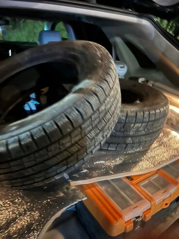зимние шины на грузовые автомобили: Шиналар 195 / 65 / R 15, Кыш, Жуп, Жеңил унаалар, Goform