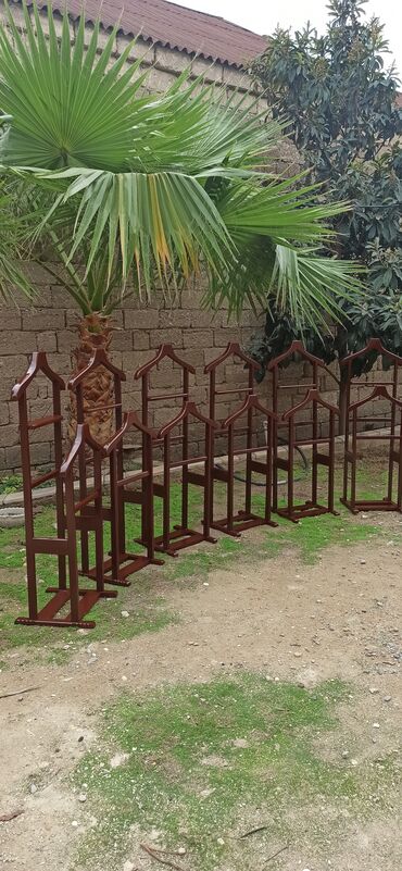 5 15 taxta: Asilqanlar hazırlanır fifarişlə birbaşa sexdən sex qiymətinə