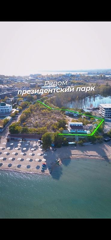 чолп: 83 соток, Бизнес үчүн, Кызыл китеп — 2