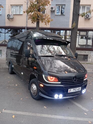 Трансфер, пассажирские перевозки: Бус — 15