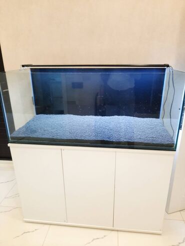 высота боксерской груши: Akvarium,şkaf və digər avadanlıqlar satılır.Bitki üçün qrunt Propant