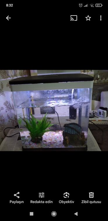 akvaryum: Dördbucaq akvarium, 7 l