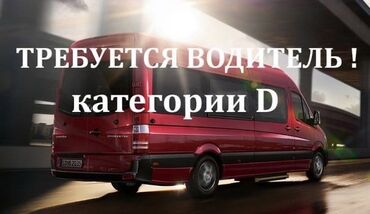 водитель категории d: Требуется Водитель автобуса, буса, Категория прав (D1), Более 5 лет опыта, Пятидневка, Мужчина, Премии