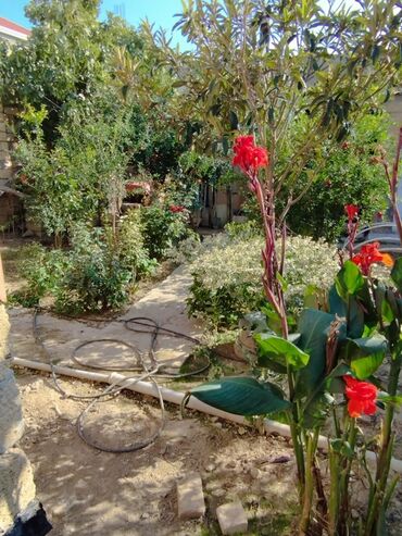 Uzunmüddətli kirayə mənzillər: Qobuda dörd otaqlı ev iki otaq bir kuxna hazır iki otaq təmirsiz qaz — 16