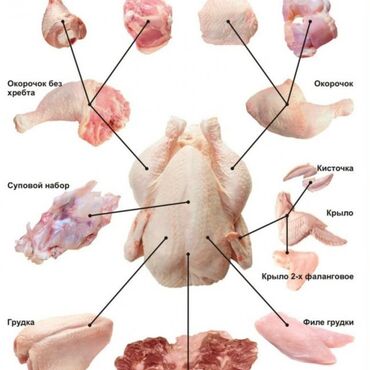 куры мясо оптом: Куры филе крыло окорочка бедро голень и все что связанно с курицей