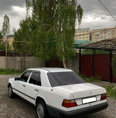 мерседес актрос продажа: Mercedes-Benz 230: 1987 г., 2.3 л, Механика, Бензин, Седан