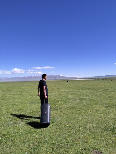 Динамики и колонки: Аренда колонки JBL(США), 240w, Bluetooth. Аренда микрофона — 15