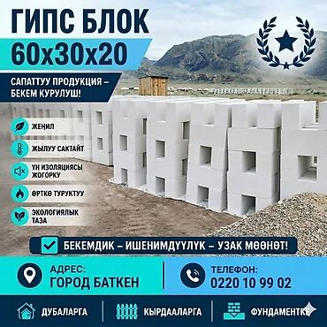 гипсовая: Гипсоблок ?20 - Формат: блоки из гипса с продольными пустотами — 2