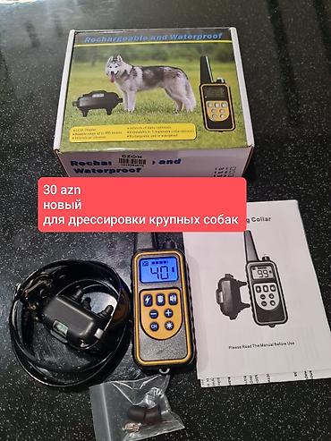 Elektron it təlim yaxalığı və pultu - Böyük cins itlərin təlimi üçün