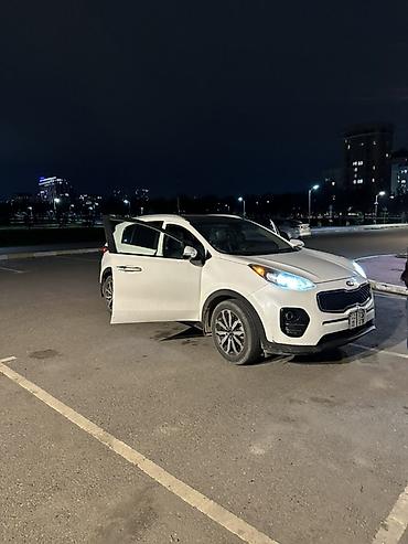 Kia: Kia Sportage: 2016 г., 2.4 л, Автомат, Бензин, Кроссовер — 12