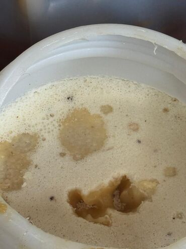 чистый мед цена: Мёд горный кристаллизованный токтогульский в бочках 32-33кг.хороший