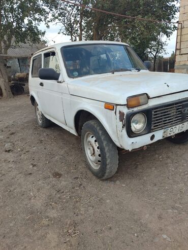 çayka maşın: VAZ (LADA) 4x4 Niva: 1.7 l | 1989 il 22225 km Hetçbek