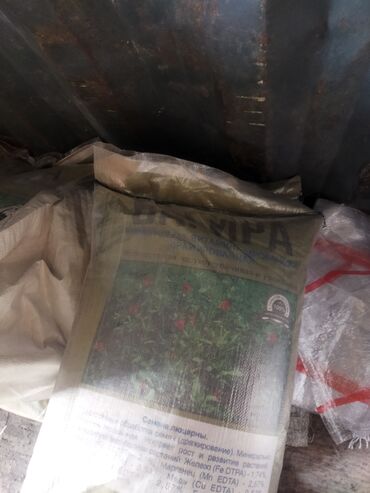 Кормовые растения: Семена кормовых растений: Люцерна — 6