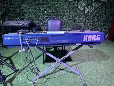 Gitaralar: Sintezator, Korg