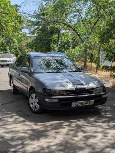 тойота 1993: Toyota Corolla: 1993 г., 1.5 л, Автомат, Бензин, Седан