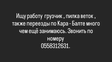 Другие специальности: Переезды,погрузка-выгрузка,пилка дров и многое другое.Тел.