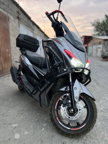 нужны ли права на мопед в кыргызстане: Макси скутер Honda, 180 куб. см, Бензин, Б/у