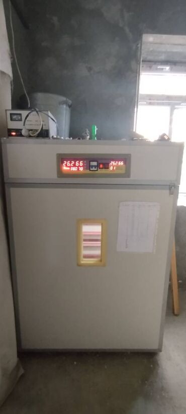 сейфы для оружия: INQUBATOR 1056 YUMURTALIQ 
Kuluçka
Inkubator
Cücə çıxartmaq
Generator