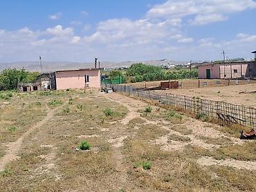 fermaya: Haciqabulda ferma satılır.15 hektar.350kv.tikili.kənd tədərrüfatı — 8
