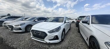 тесла модел с: Hyundai Sonata: 2019 г., 2 л, Автомат, Газ, Седан