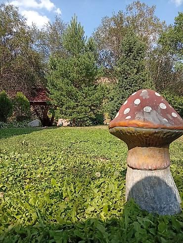 Посуточная аренда домов: Сдается Дача район Кой Таш . Ищете место, где можно по-настоящему — 20