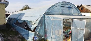 Теплицы: Продается теплица, размер 23/8 — 11