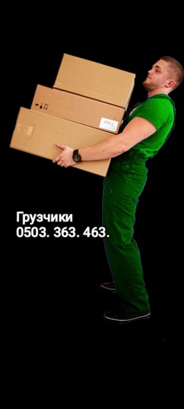 шербакова тоголок молдо: Грузчик. Больше 6 лет опыта