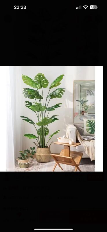 обмен на комнатные растения: Декоративные искусственные цветы😍 Высота 1м60см,можно удлинить с
