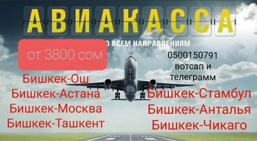 спортивная бутылка: Авиабилеттер бардык направление Бишкек-Ош Бишкек-Талас Виза в Дубай