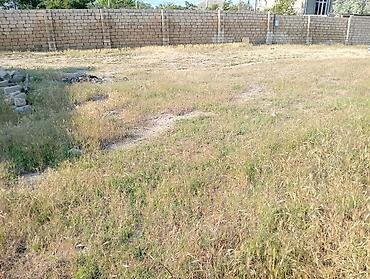 3 sot torpaq satilir: 3 sot, Tikinti, Mülkiyyətçi, Kupça (Çıxarış) — 3