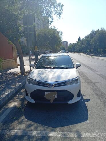 Toyota Corolla: 1.5 л | 2019 г. Универсал