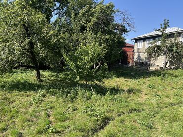 xacmaz torpag: 6 sot, Tikinti, Barter mümkündür, Kupça (Çıxarış)