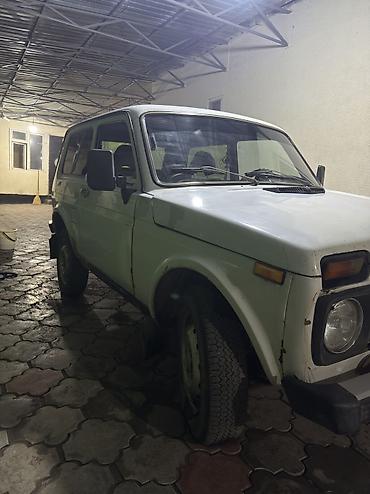 передний редуктор на ниву: ВАЗ (ЛАДА) 4x4 Нива: 2004 г., Механика, Бензин, Внедорожник — 8