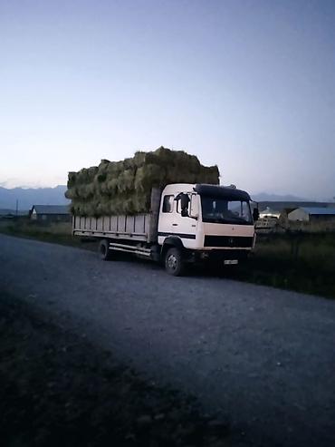 daf фура: Грузовик, Mercedes-Benz, Стандарт, 7 т, Б/у — 4