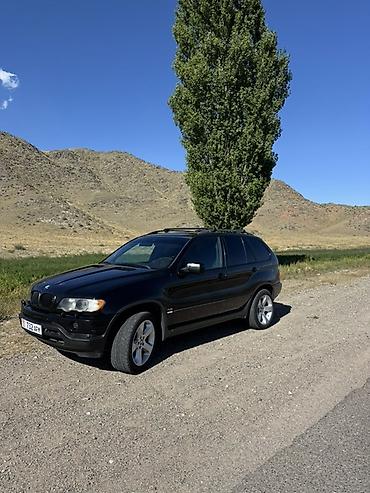 бу чехол: BMW X5: 2002 г., 4.4 л, Автомат, Бензин, Кроссовер — 3