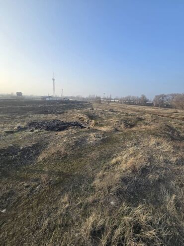 Продажа участков: 9 соток, Для строительства, Красная книга — 4