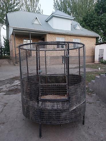 корова молочная купить: Дакан Капас Дакан Короздорго Клетка — 2