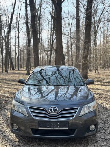 машина тайотта: Toyota Camry: 2009 г., 2.5 л, Автомат, Бензин, Седан