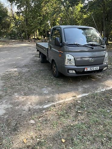 dhas 120ap: Легкий грузовик, Hyundai, Стандарт, Новый — 2