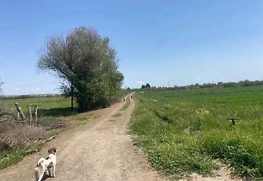 buzovnada torpaq: 1500 sot, Kənd təsərrüfatı, Mülkiyyətçi, Kupça (Çıxarış) — 2