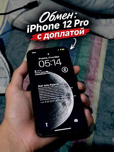 IPhone Xs Max, Б/у, 256 ГБ, Space Gray, Чехол, 76 %