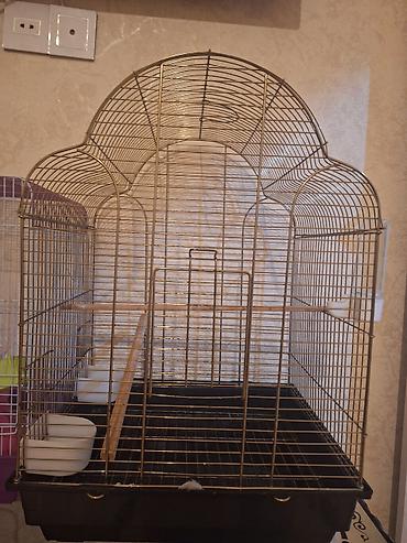 qus adlari: Qızılı rəngli böyük quş qəfəsi - Material: metal tor (qızılı rəng) — 2