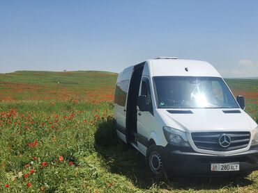 подбор авто бишкек: Спринтер Дельфин 2017 НА ЗАКАЗ 18-МЕСТ ГОРОД УЗГЕН,Ош,Мырза-Аке заказ