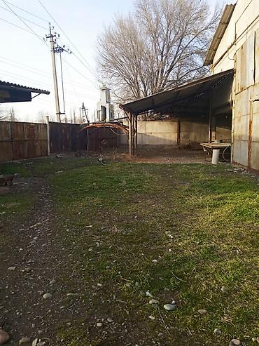 Продажа сельхоз предприятий: Продается производственная база с фермой свинарником at lalafo.kg — 8 Продажа сельхоз предприятий: Продается производственная база с фермой свинарником — 8